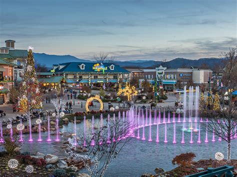 cheap things to do in my local area